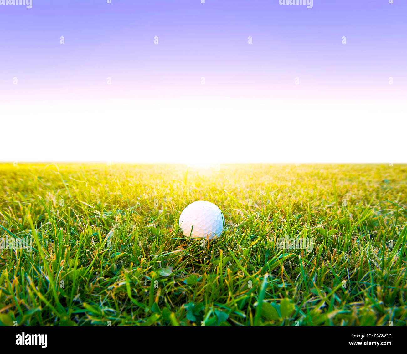 Gioco di golf. Palline da golf in erba. Foto Stock