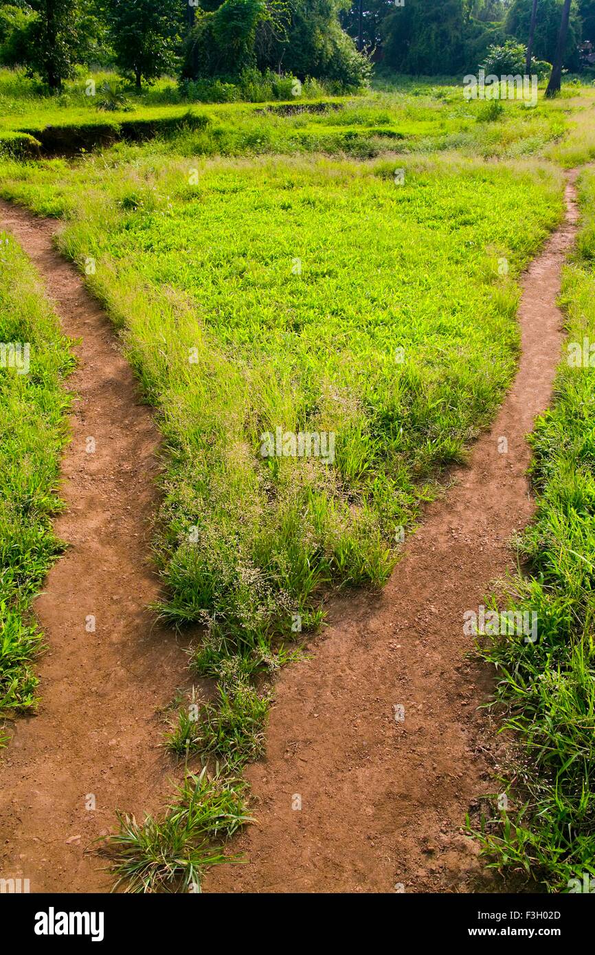Footway due modo ; percorso di fango con il verde ; Parco Nazionale di Sanjay Gandhi ; Borivali ; Mumbai Bombay ; Maharashtra ; India Foto Stock