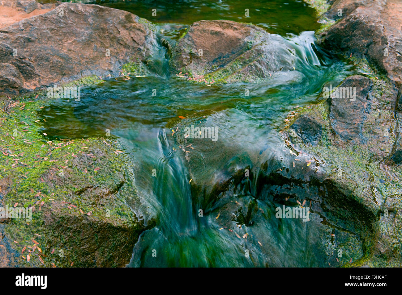 Curva di Creative e formare il flusso di acqua di fiume ; Parco Nazionale di Sanjay Gandhi ; Borivali ; Mumbai Bombay ; Maharashtra ; India Foto Stock