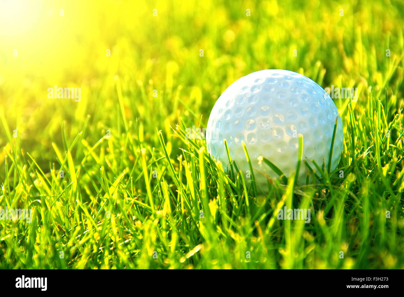 Gioco di golf. Palline da golf in erba. Foto Stock