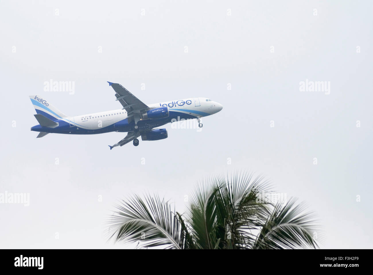 Atterraggio aereo Indigo ; Mumbai Bombay ; Maharashtra ; India Foto Stock