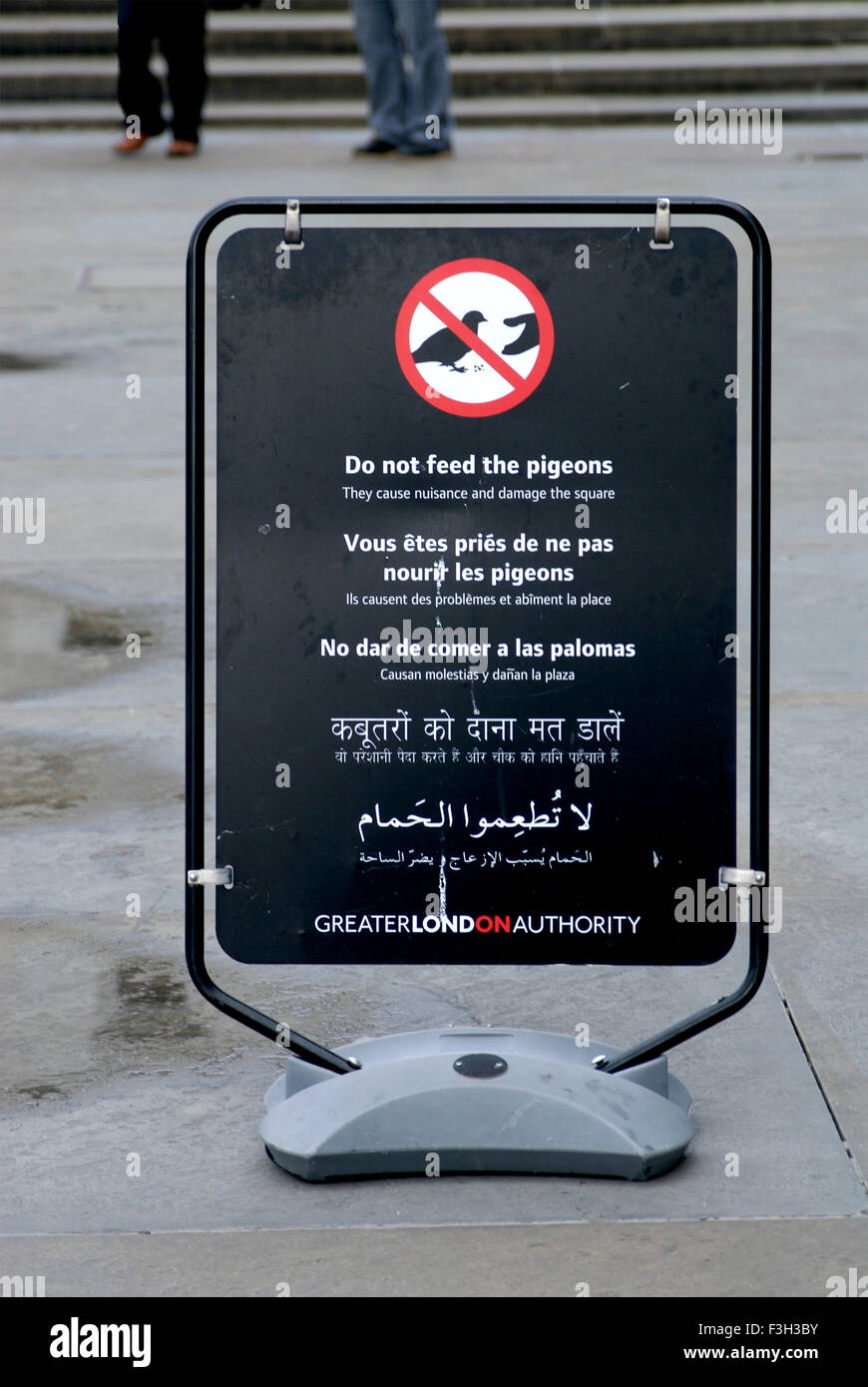 Non alimentare i piccioni istruzioni in 5 lingue a Trafalgar Square ; London ; Regno Unito Regno Unito Inghilterra Foto Stock
