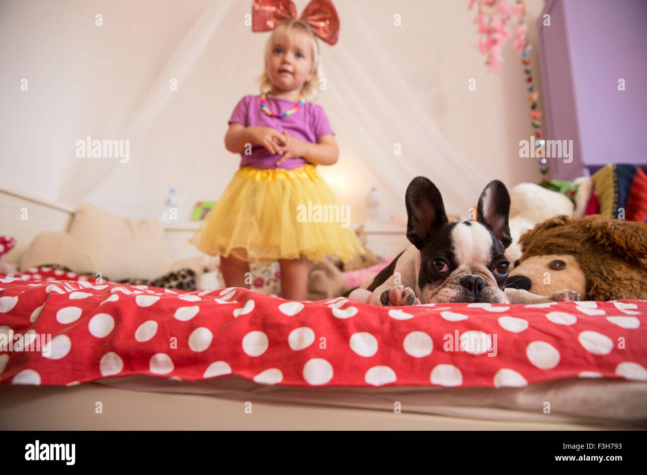 Toddler femmina indossando tutu e legato bow con il cane sul letto Foto Stock