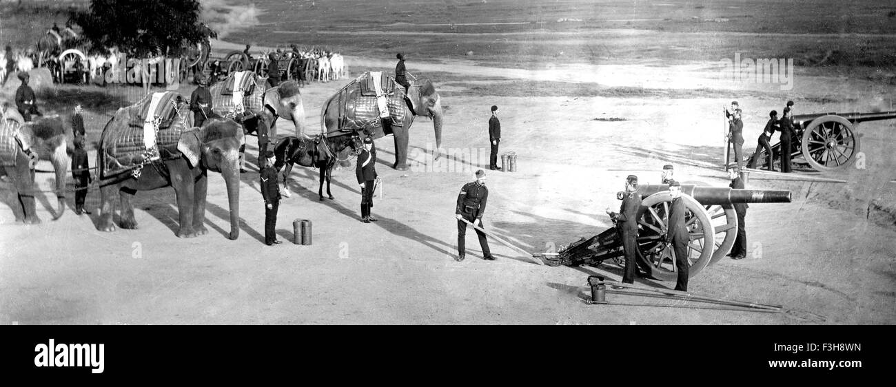 'Esercito indiano britannico Royal Artillery elephant unità circa 1905 Foto Stock