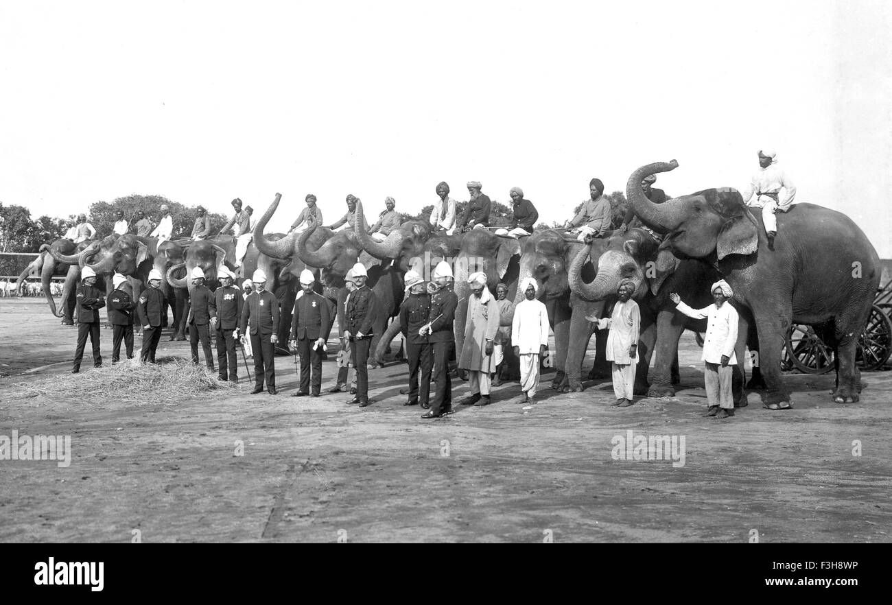 BRITISH esercito indiano batteria elefante nel 1900 Foto Stock