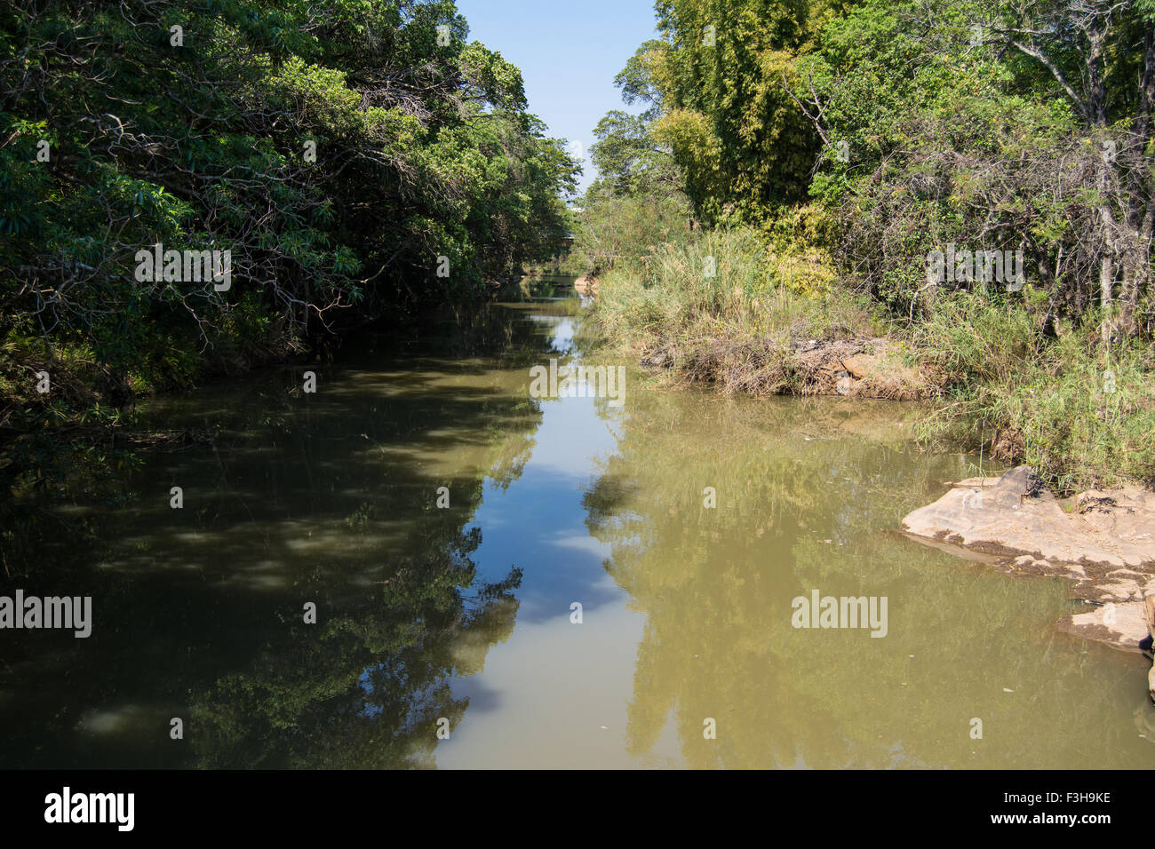 Vista panoramica del fiume dei coccodrilli dal ponte presso il Lowveld National Botanic Garden Foto Stock