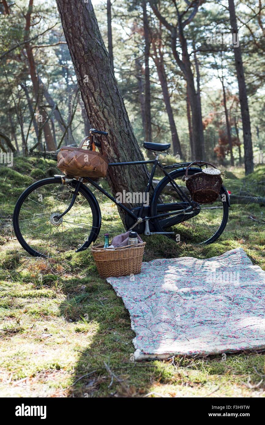 Bicicletta con foraggio ceste e coperta sul suolo della foresta Foto Stock