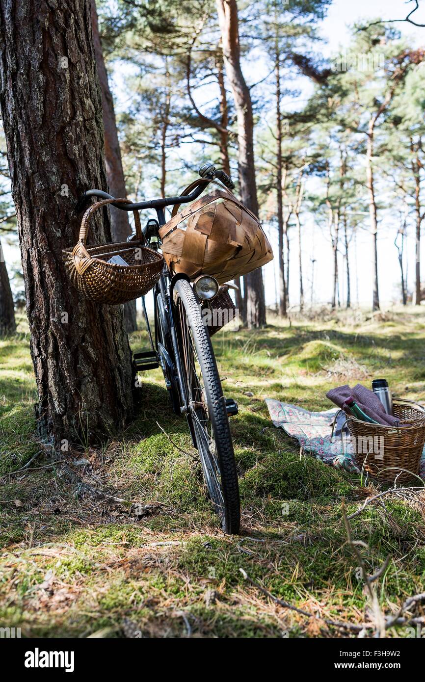 Bicicletta con foraggio di cestelli in foresta Foto Stock