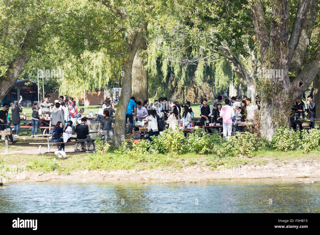 Famiglie godendo un picnic sull'isola centrale in Toronto Islands a Toronto, Ontario, Canada Foto Stock