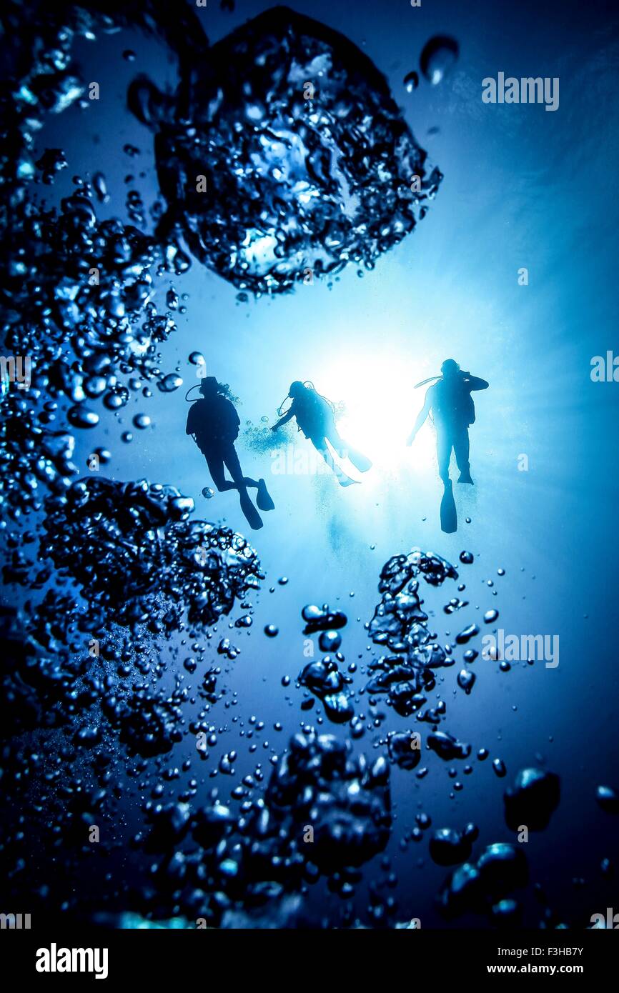 Silhouette di subacquea di tre subacquei e bolle, Bali, Indonesia Foto Stock