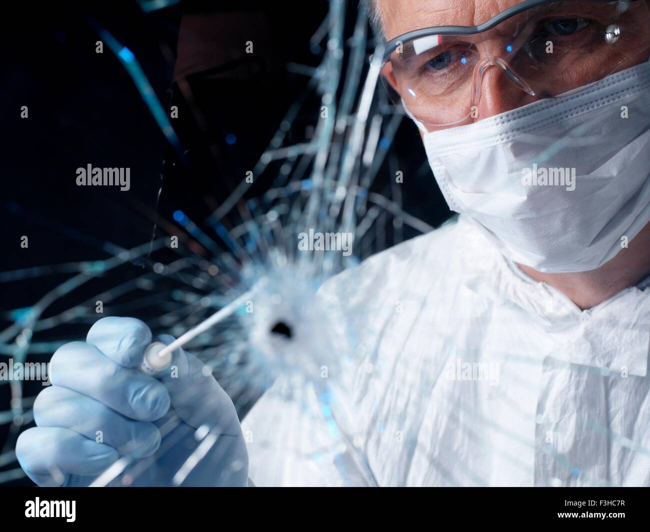 Forensics officer con bastoncino per raccogliere prove da vetro rotto Foto Stock