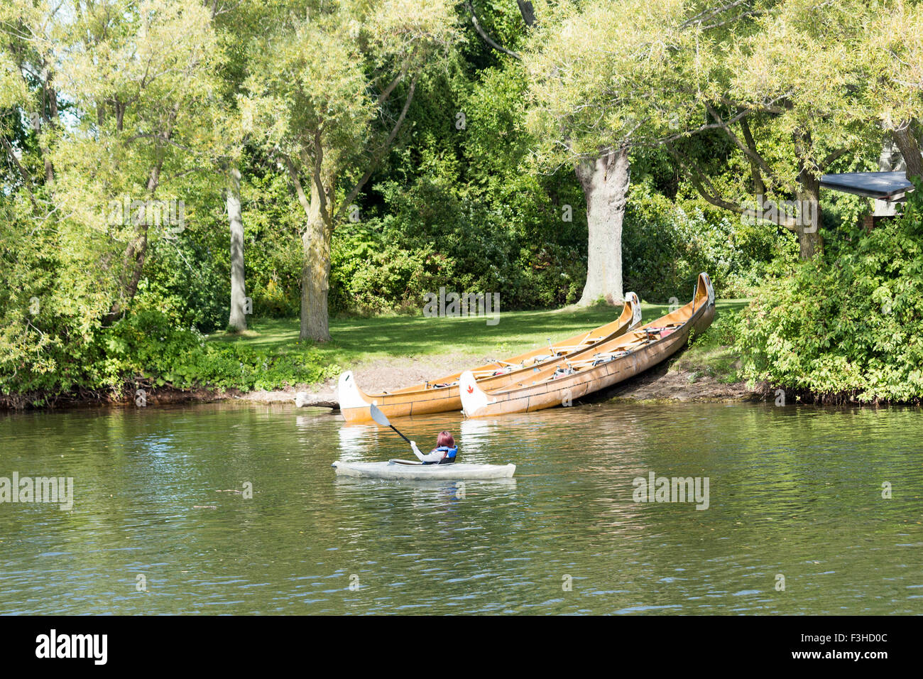 Ragazza adolescente in kayak sul lago Ontario righe passato due canoe e le persone aventi un barbeque sul centro isola a Toronto, Ontario, Canada Foto Stock