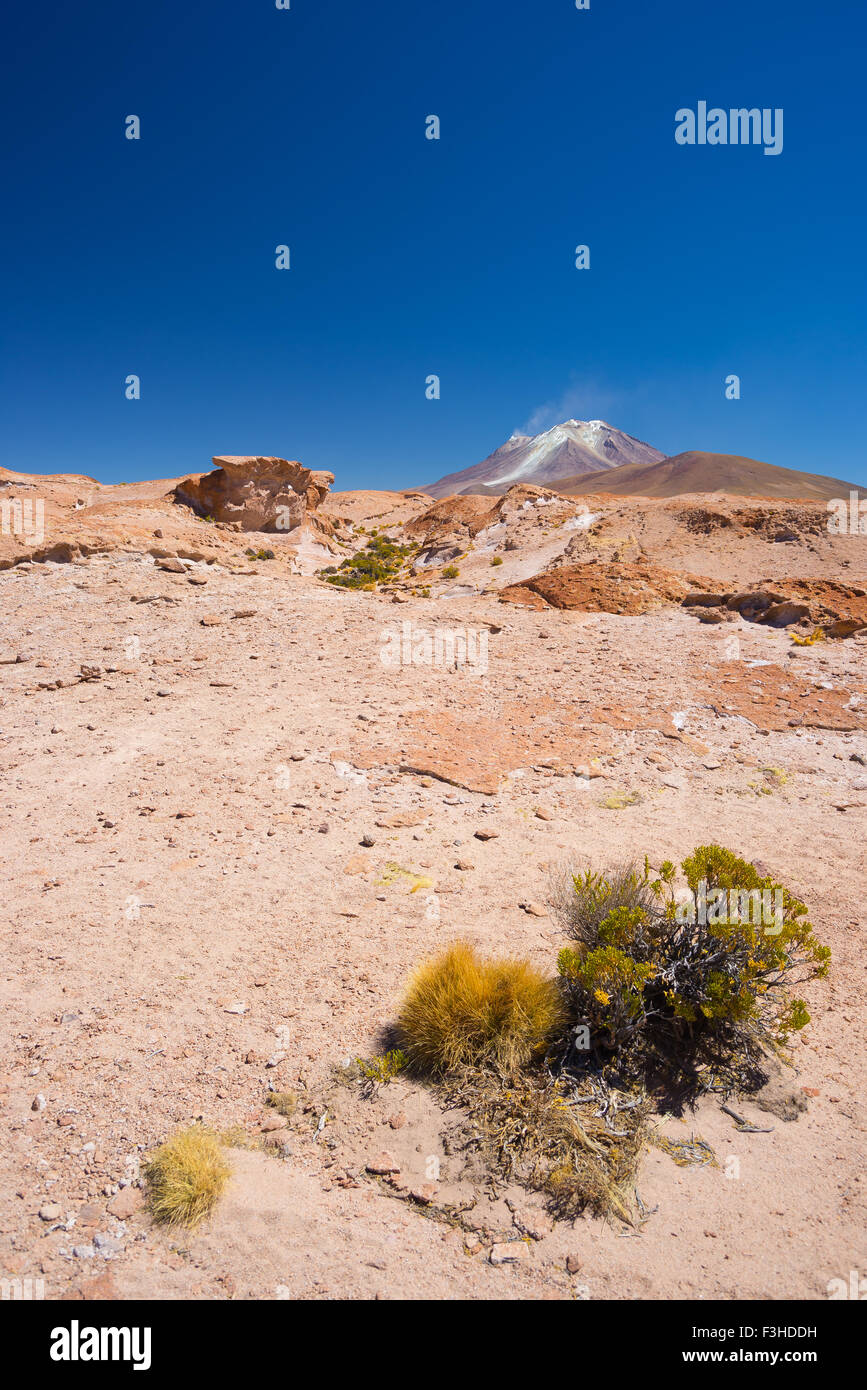 Rocky paesaggio desertico e una fumante vulcano a distanza, su altipiani andini, tra le più importanti mete da brivido Foto Stock