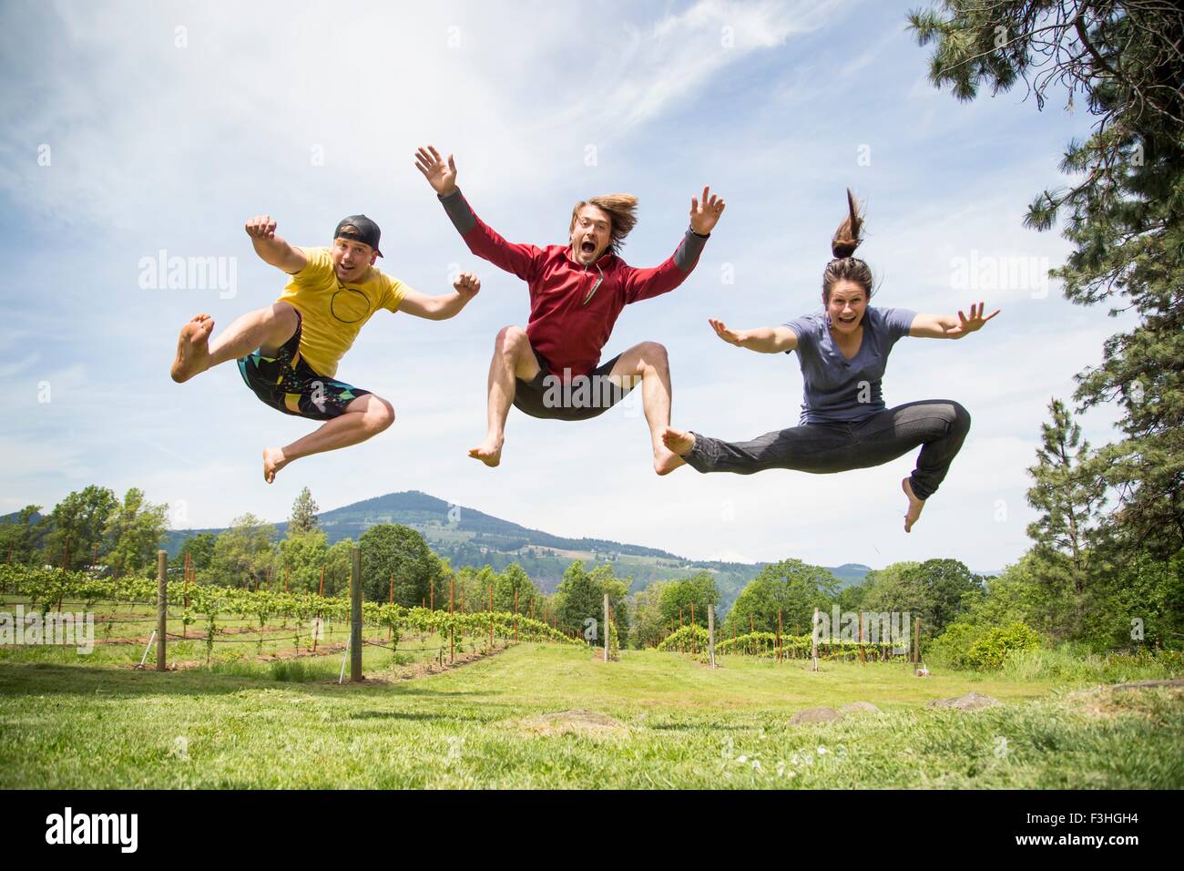 Tre adulti jumping in ambiente rurale, metà aria, ridendo Foto Stock