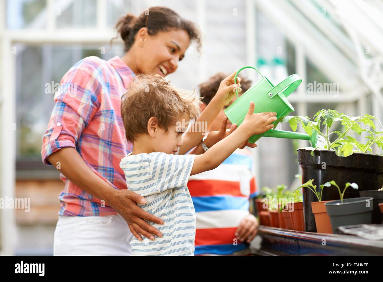 Metà donna adulta e due figli annacquare le piante in serra Foto Stock