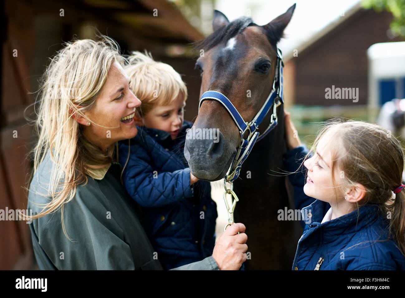 Donna matura con il figlio e la figlia petting cavallo Foto Stock