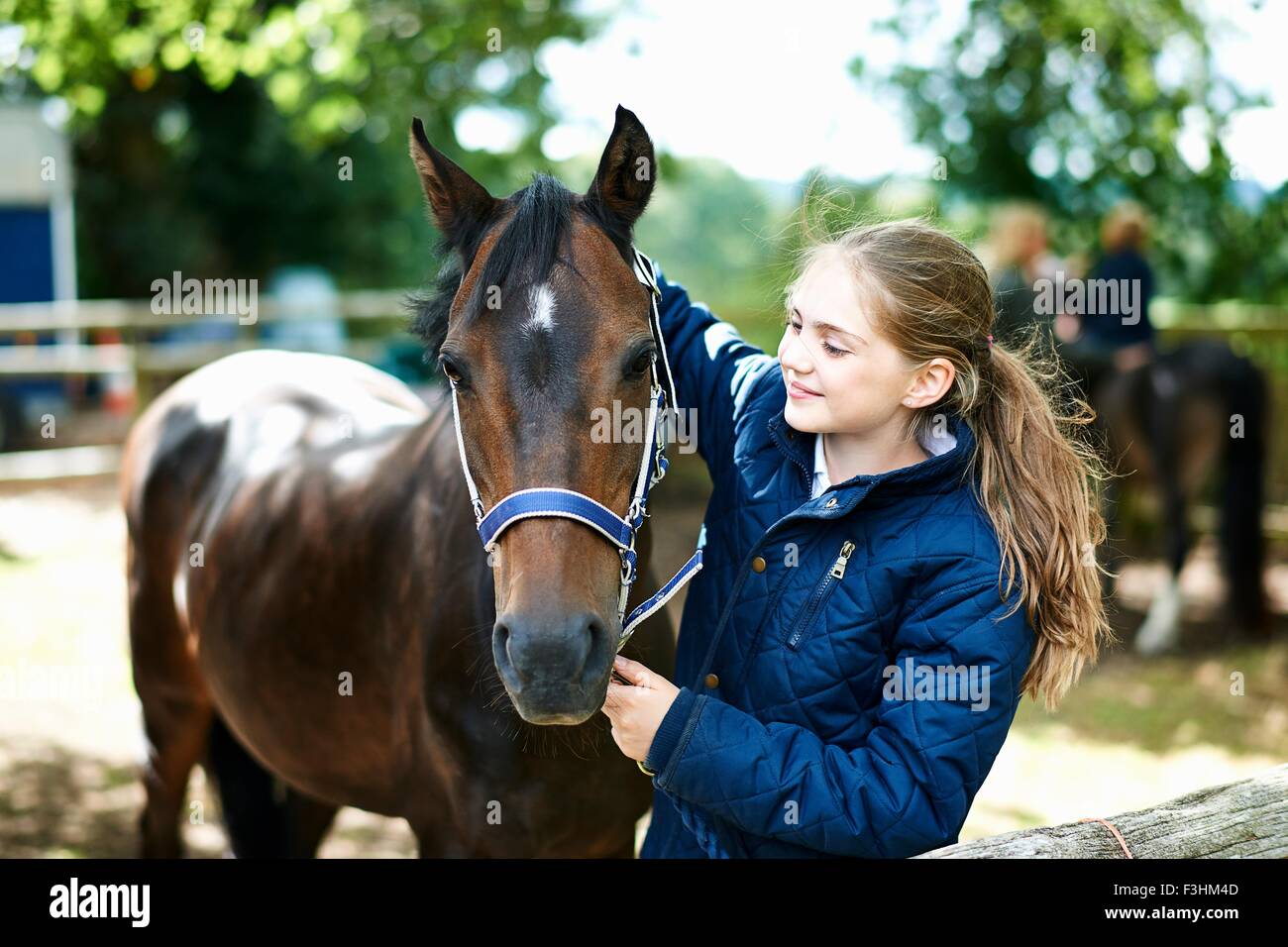 Ragazza mettendo halter sul cavallo Foto Stock