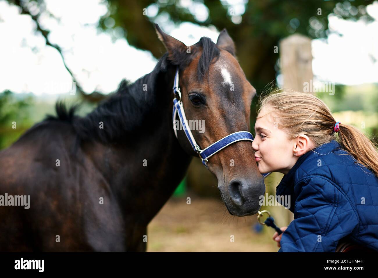 Ragazza cavaliere kissing cavallo Foto Stock