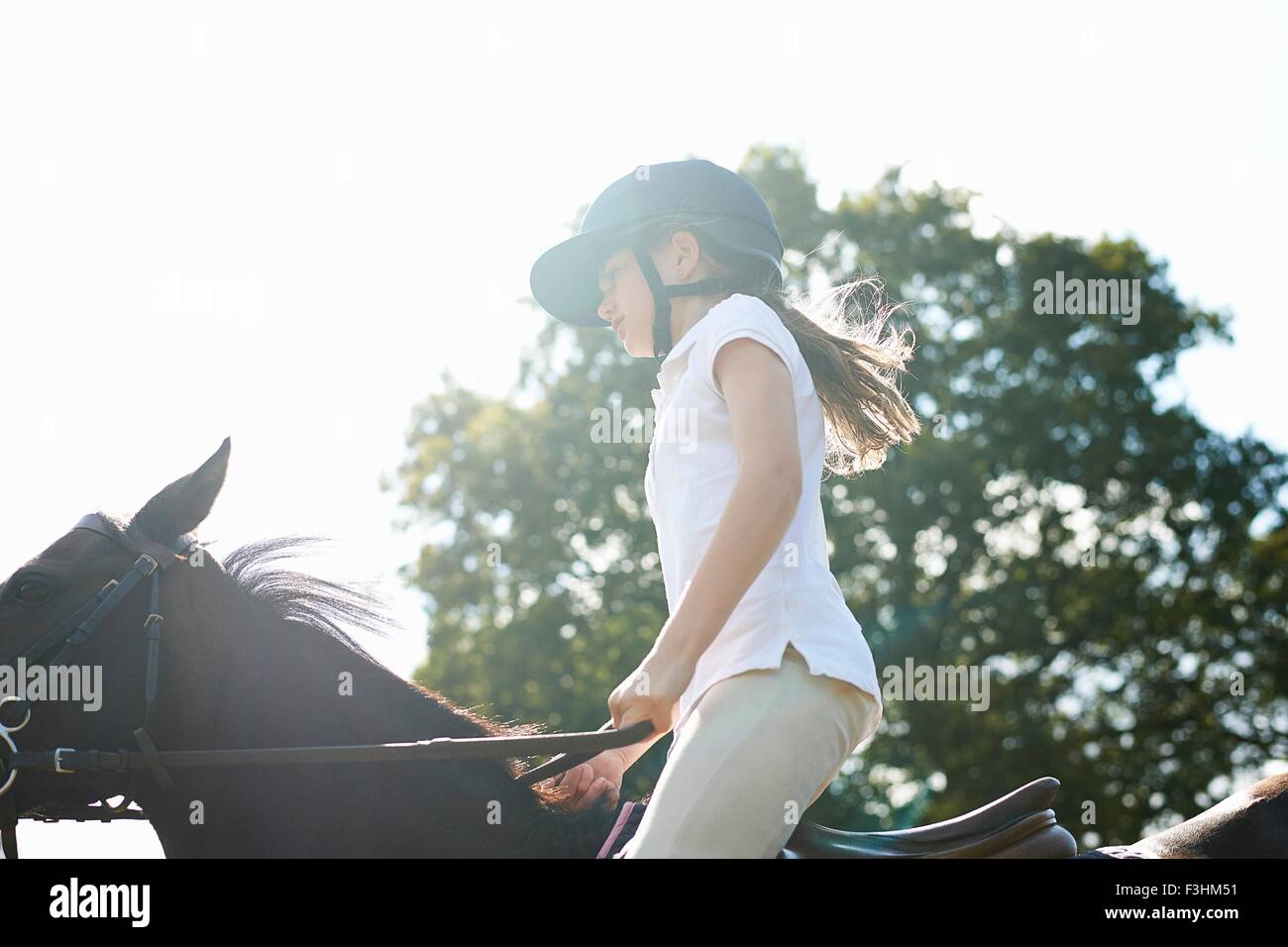 Vista ritagliata della ragazza di equitazione in campagna Foto Stock