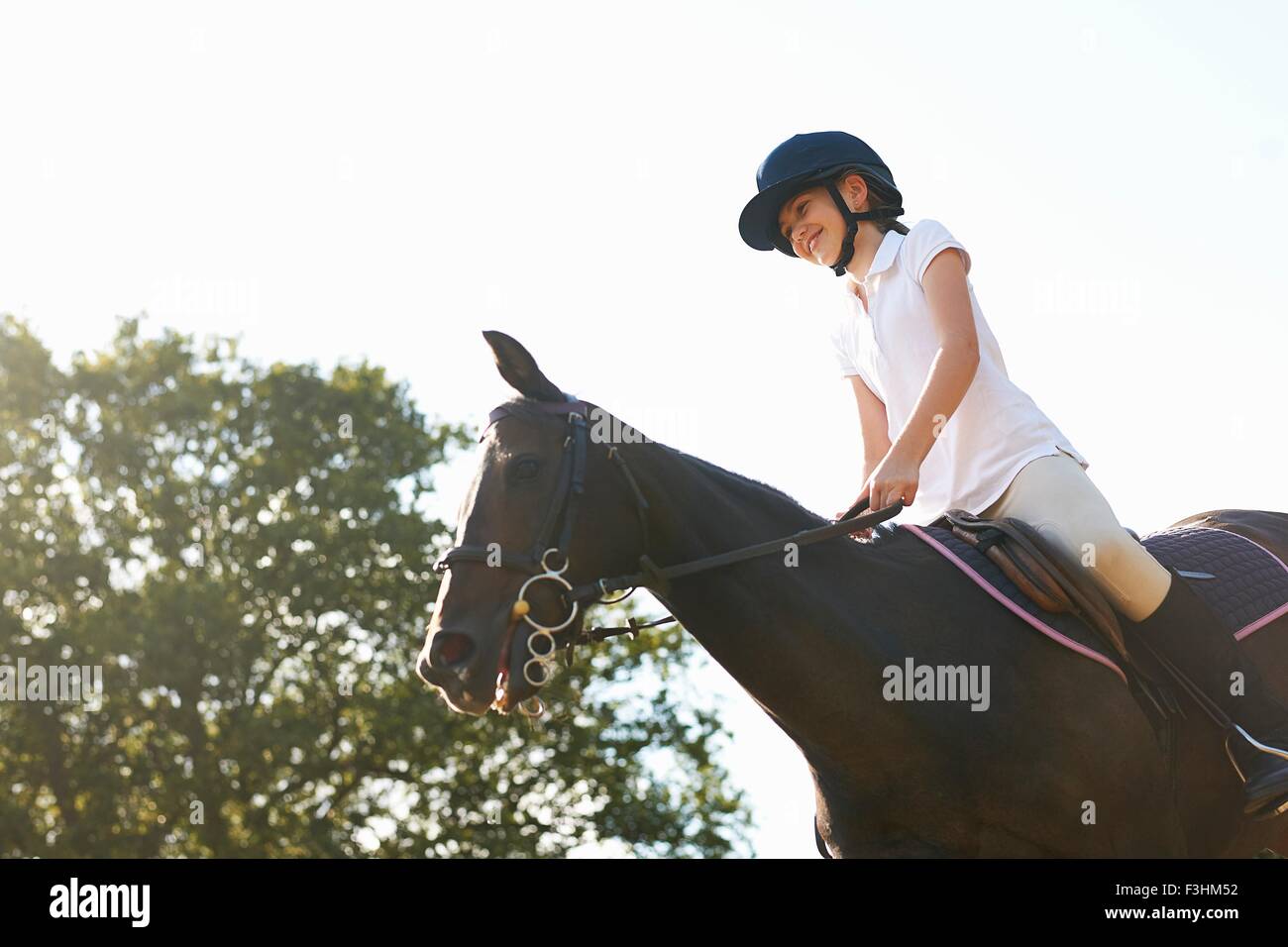 Basso angolo vista della ragazza di equitazione in campagna Foto Stock