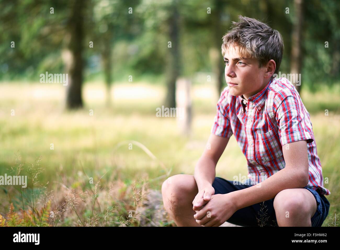 Ritratto di ragazzo adolescente guardando da woodland Foto Stock