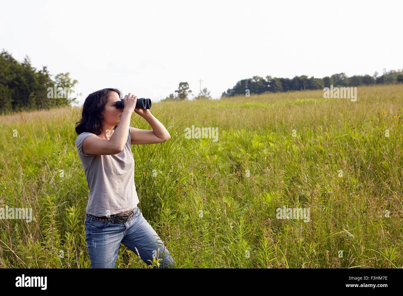 Donna che guarda attraverso binocculars dal campo di erba lunga Foto Stock
