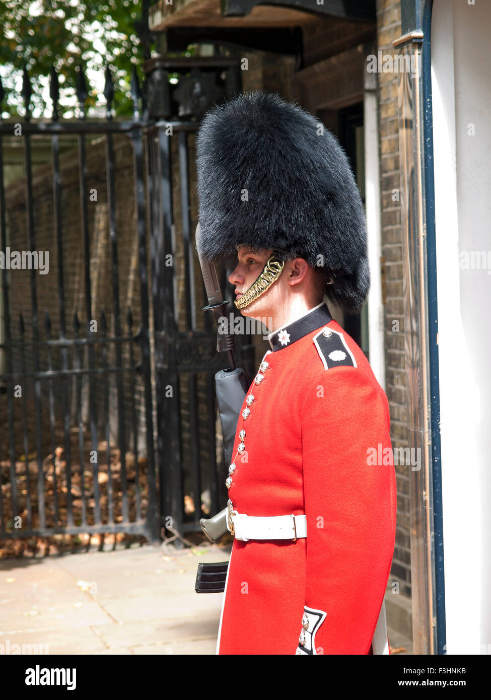 Protezione sul Royal Guard dazi in St James Palace. Il Mall. Londra. In Inghilterra. La Gran Bretagna. Foto Stock