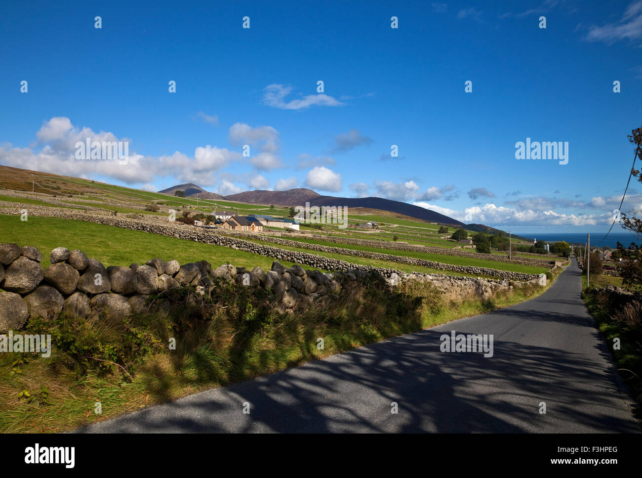 Terreni agricoli, muri di pietra in mezzo alle montagne di Mourne, vicino Kilkeel sul Silent Valley Road, County Down, Irlanda Foto Stock