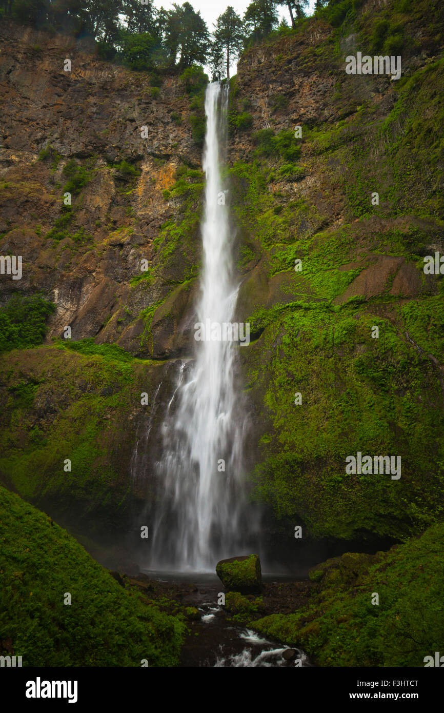 Cascate Multnomah, un 542-piedi cascata situata in Columbia River Gorge, Oregon. Foto Stock