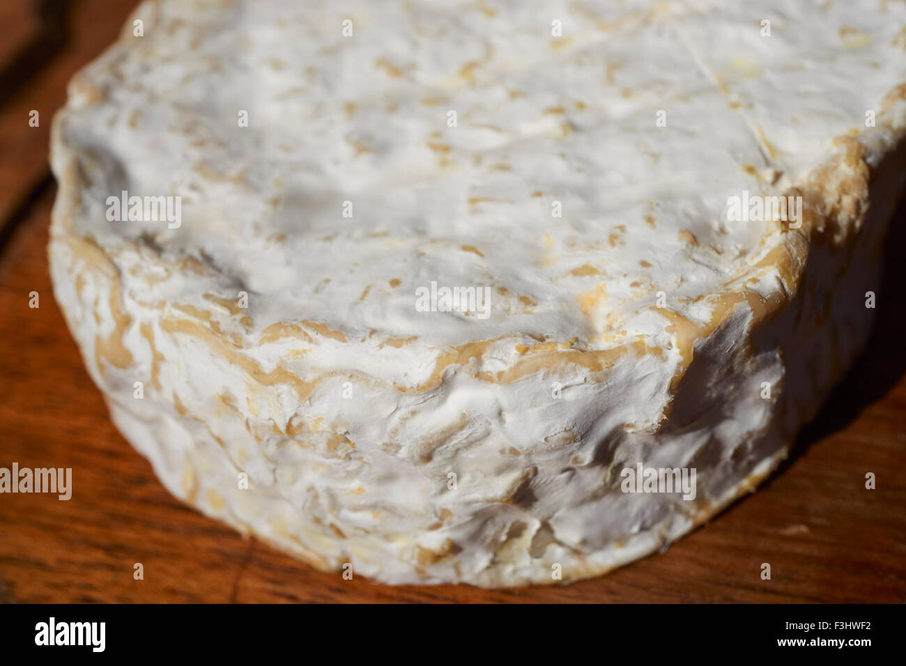 Stile di Brie formaggi molli stagionati da Valley Milkhouse in Oley, Pennsylvania, STATI UNITI D'AMERICA Foto Stock