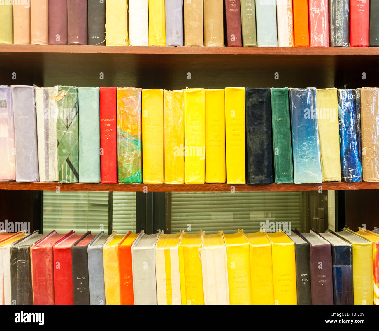 Libri nelle librerie in legno Foto Stock