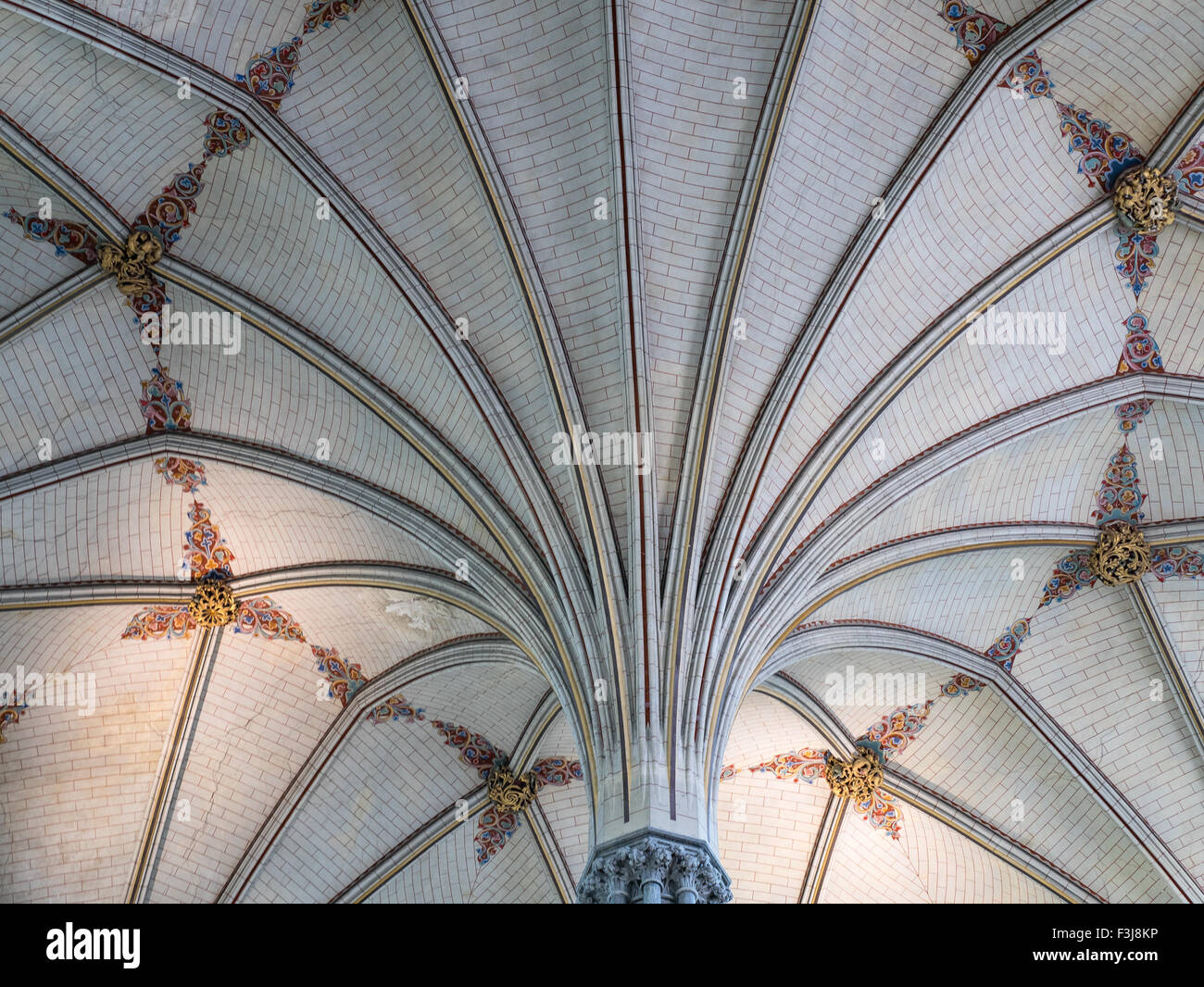 Archivio della ventola nella Chapter House presso la cattedrale di Salisbury, un medievale gotico del XIII secolo luogo di culto cristiano. Foto Stock