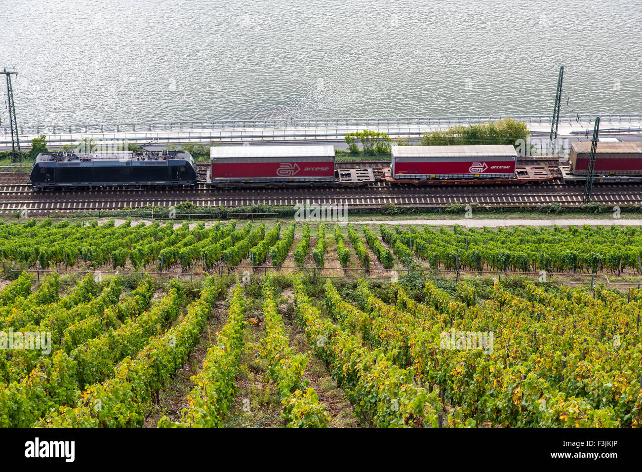 GŸterzug mit Containern auf der Rechtsrheinischen Eisenbahntrasse, Oberes Mittelrheintal, Weinberge bei RŸdesheim Foto Stock