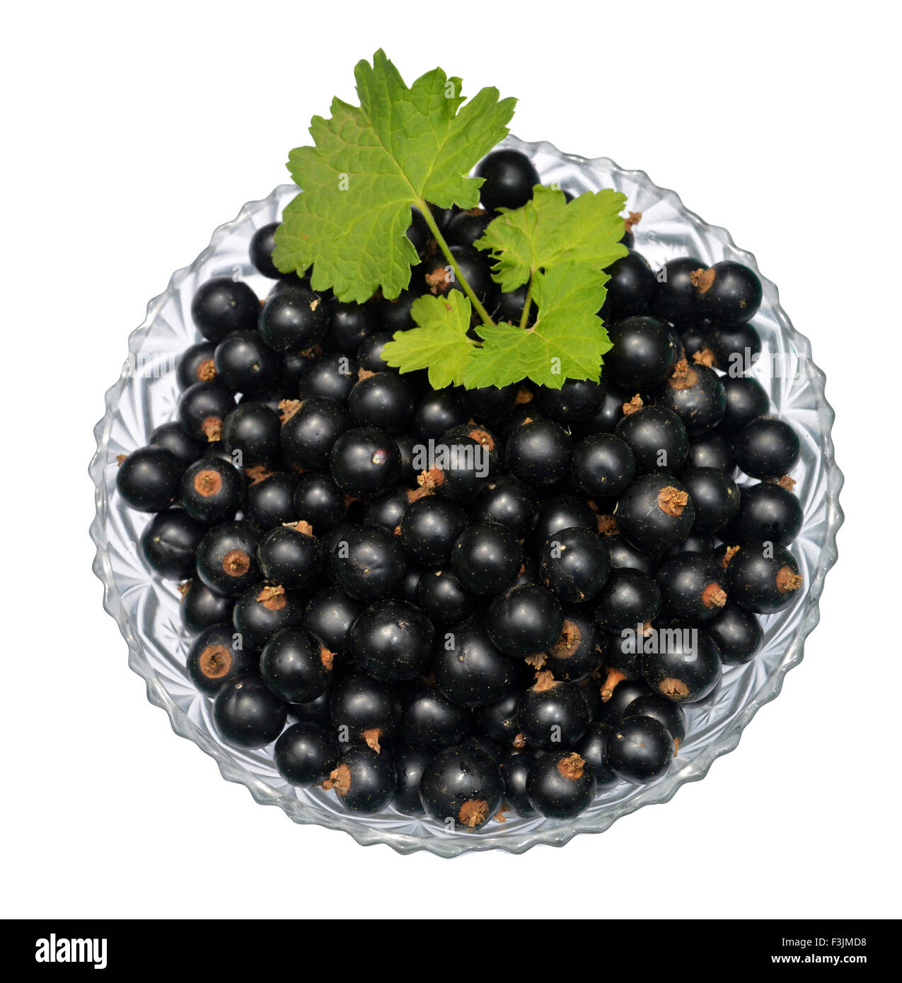 Ribes nero con foglie in recipiente di vetro Foto Stock