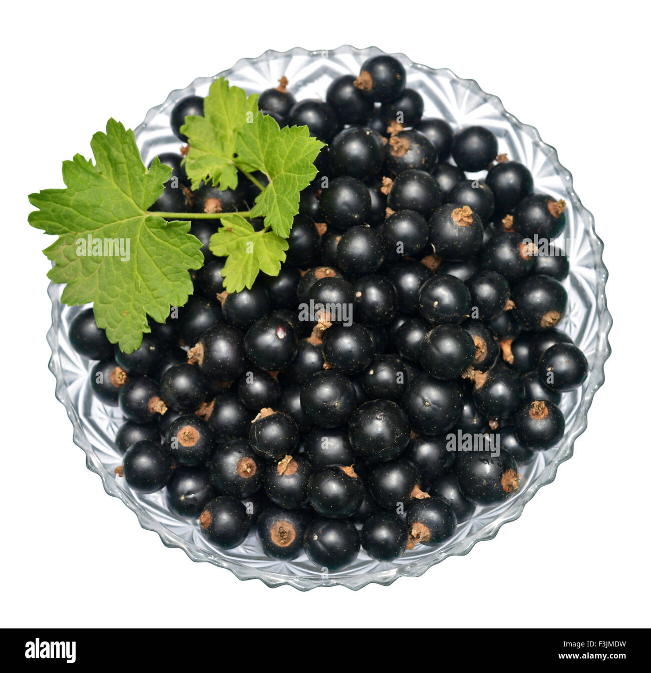 Ribes nero con foglie in recipiente di vetro Foto Stock