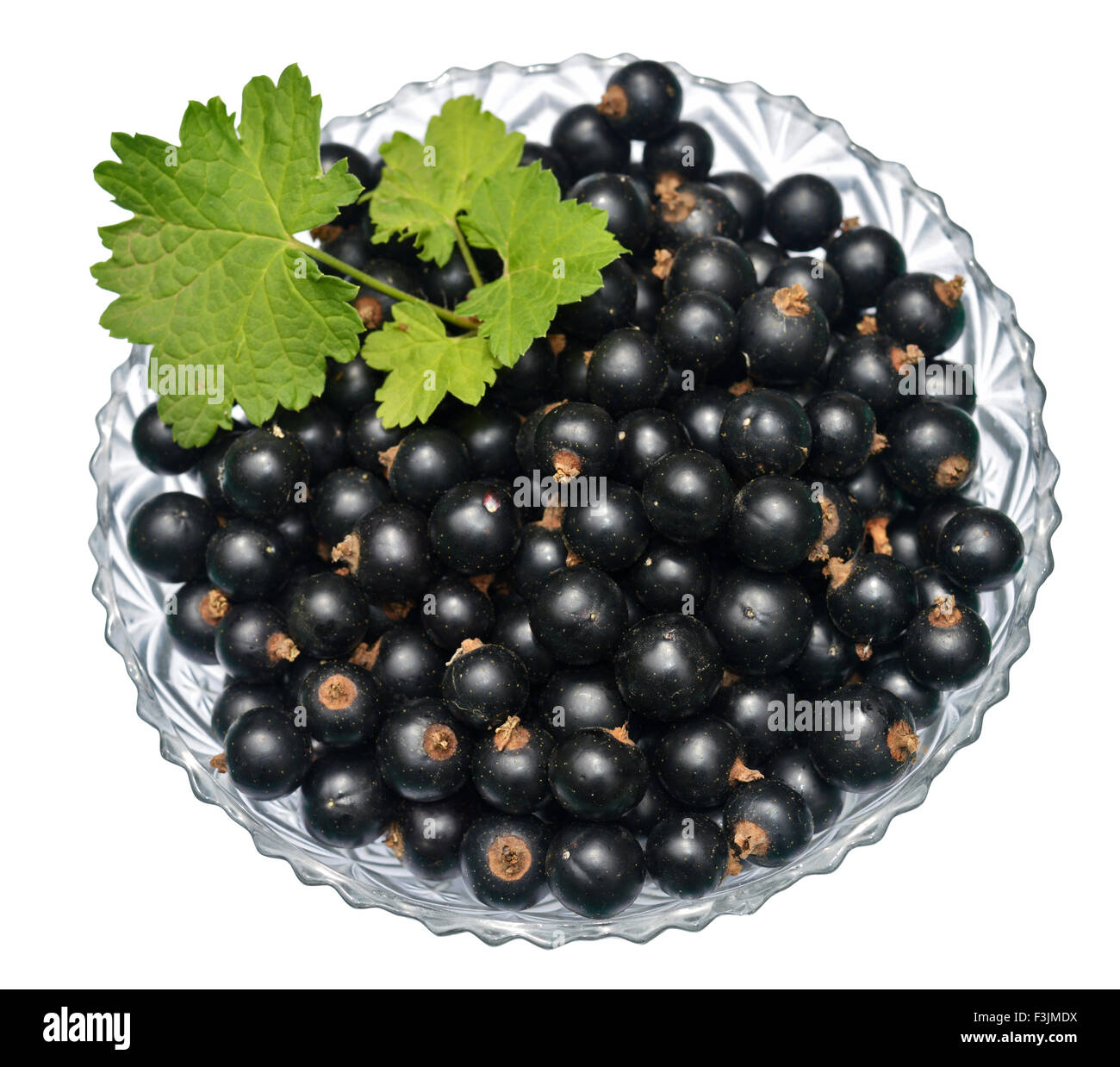 Ribes nero con foglie in recipiente di vetro Foto Stock