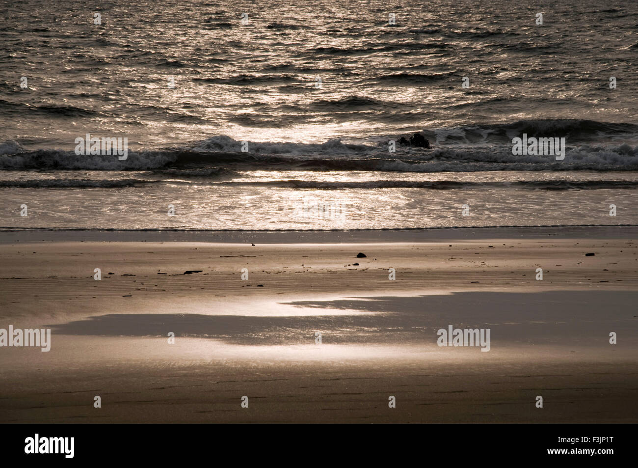 Mare sole sabbia surf in spiaggia Sagartirth a Sindhudurgh ; Maharashtra ; India Foto Stock