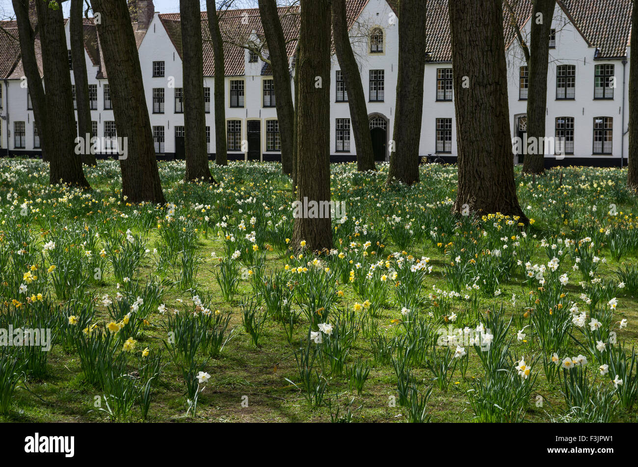 Convent Garden, Bruges Foto Stock