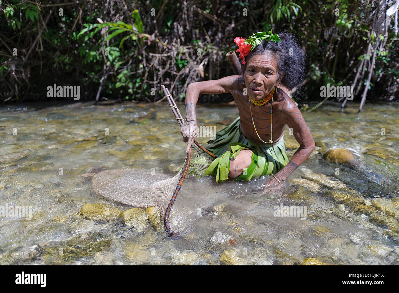 Le donne non identificato di Mentawai pescare un pesce utilizzando una rete nel fiume. Foto Stock
