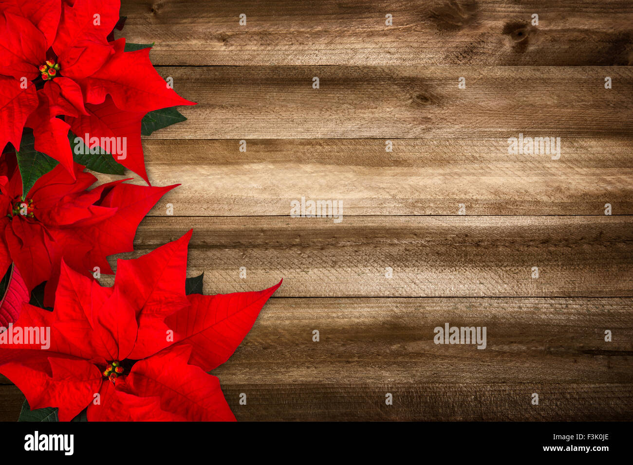 Sfondo di Natale composta da tavole di legno e poinsettia, con colori caldi e bella la vignettatura Foto Stock