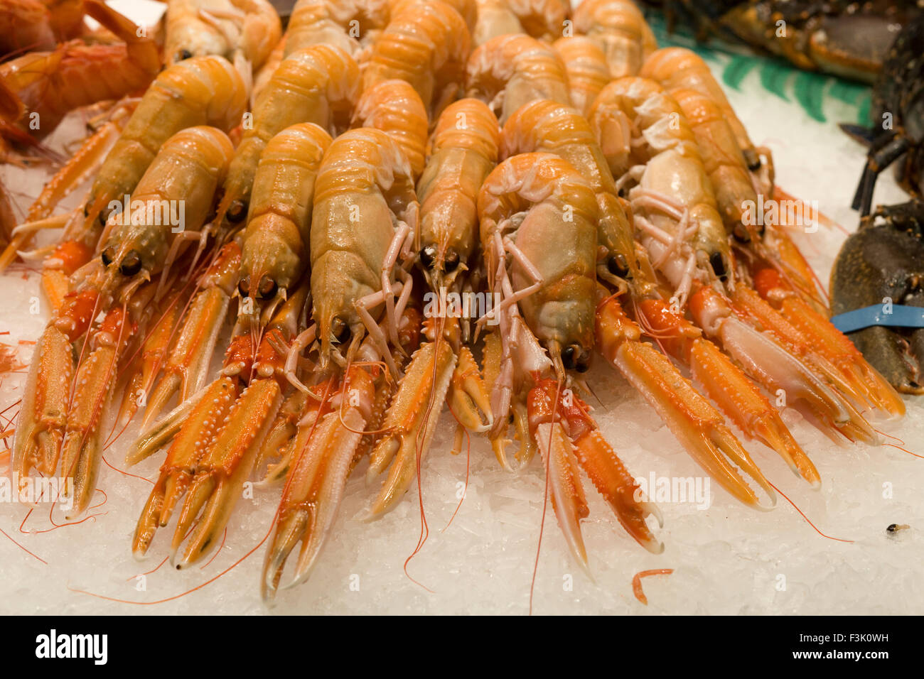 Langoustine su ghiaccio Foto Stock