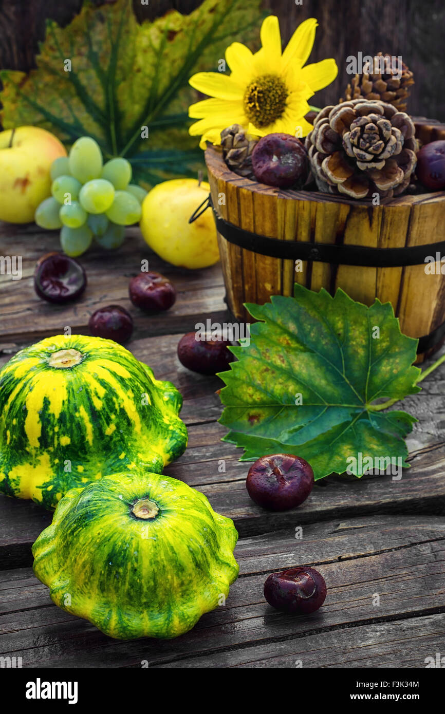 Autumn harvest squash sullo sfondo delle vasche di legno con i coni disseminato il fogliame. Foto Stock