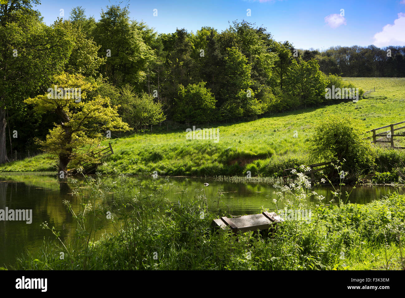 Regno Unito, Inghilterra, Yorkshire East Riding, Welton, mill pond Foto Stock