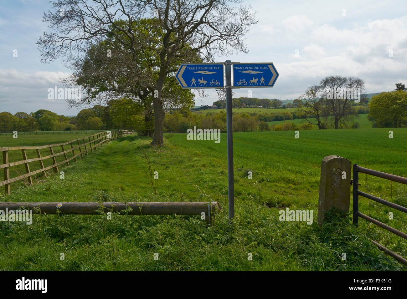 Sentiero Transpennine segnaletica entro il parco Worley - Barnsley, England, Regno Unito Foto Stock