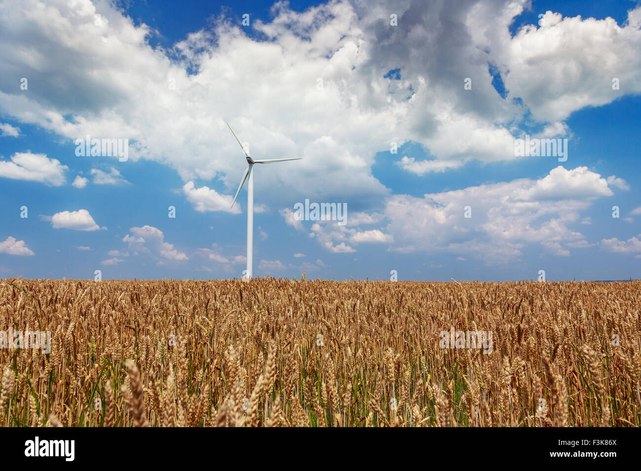 I generatori eolici turbine sul campo di grano in Romania Foto Stock