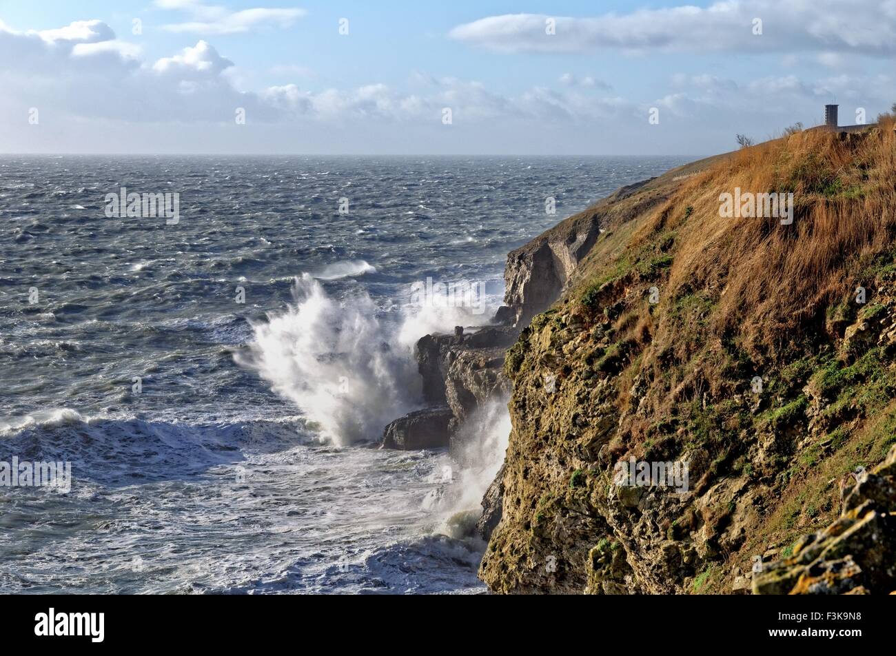 Mare mosso sulla costa e a testa Durlston vicino a Swanage Dorset Regno Unito Foto Stock