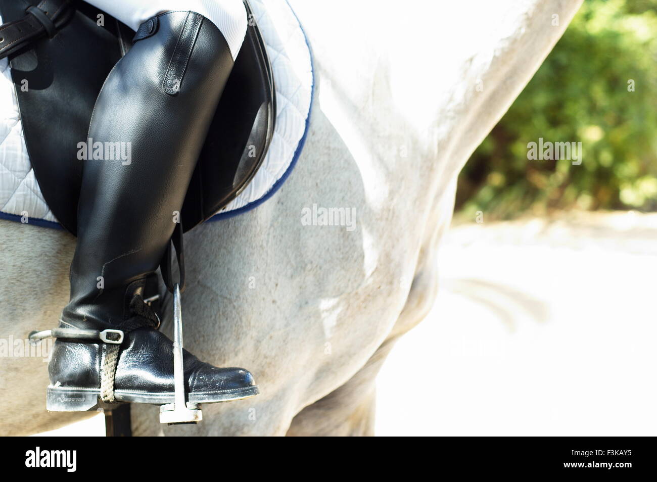 Dressage cavaliere a cavallo con stivali neri Foto Stock