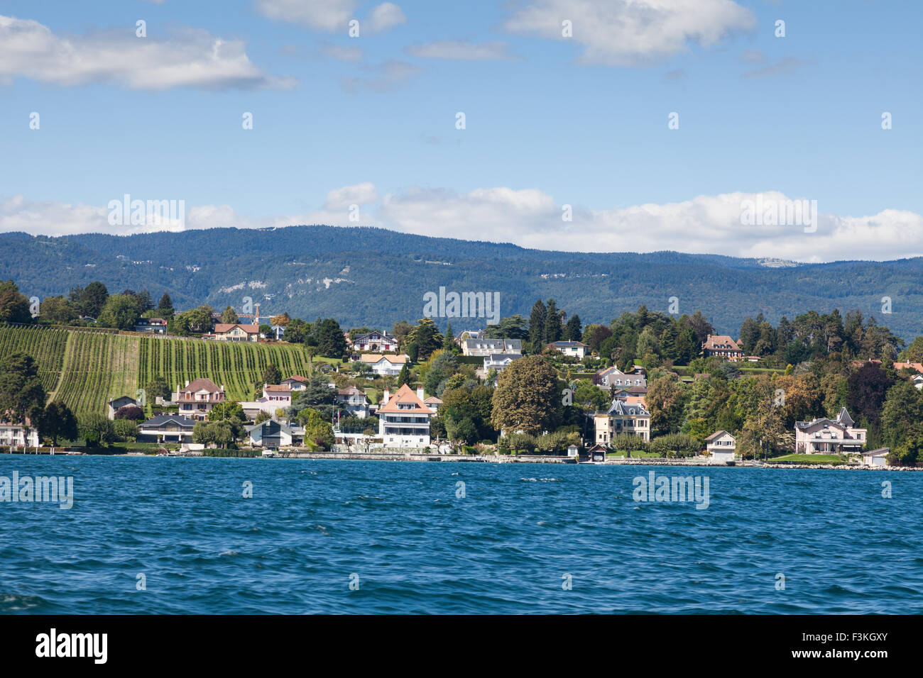 La riva del lago di Ginevra all'estremità nord di Nyon, canton Vaud, Svizzera Foto Stock