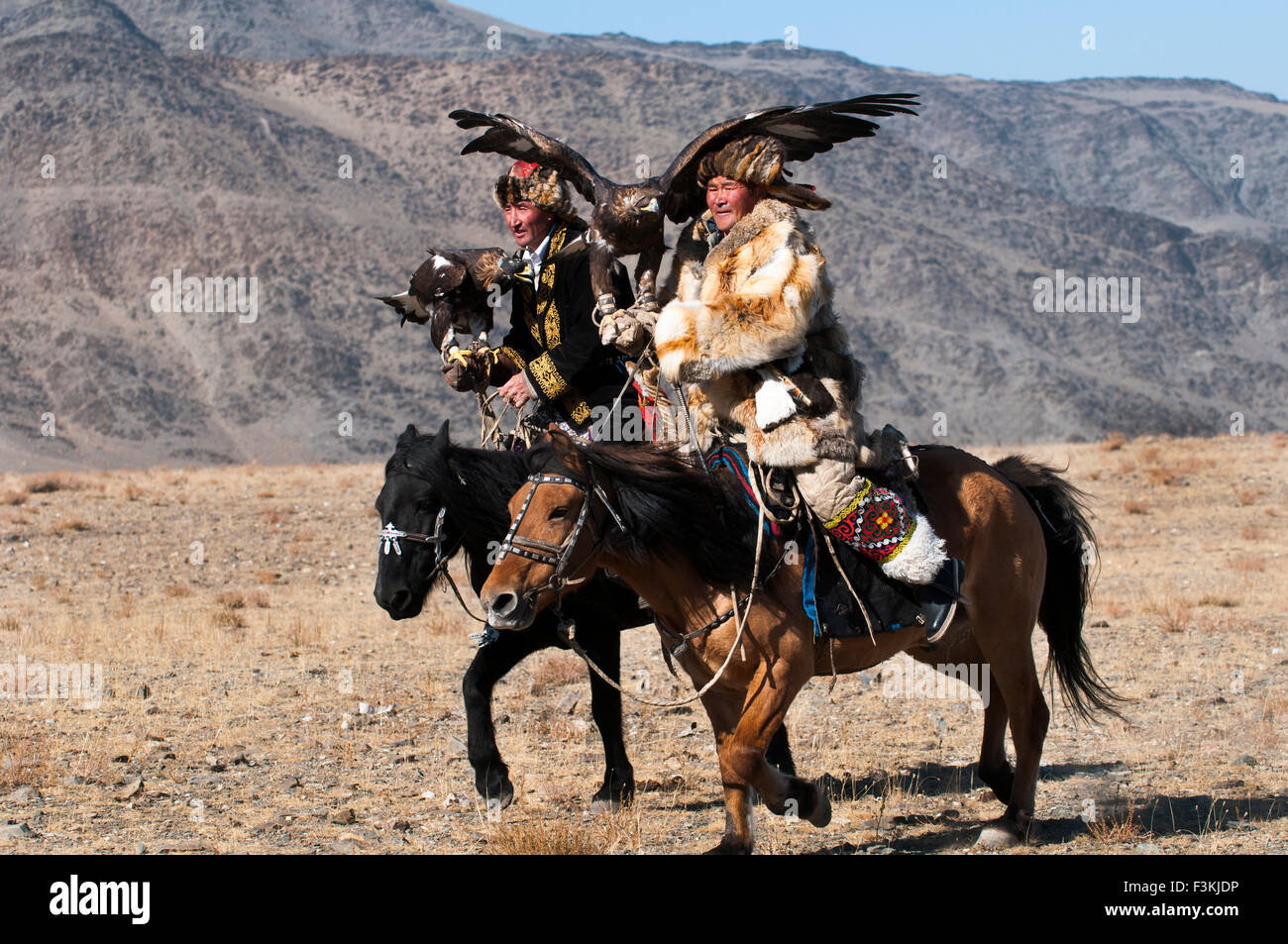 Il kazako eagle cacciatori e loro le aquile reali in Altai regione del Bayan-Ölgii in Mongolia occidentale. Foto Stock