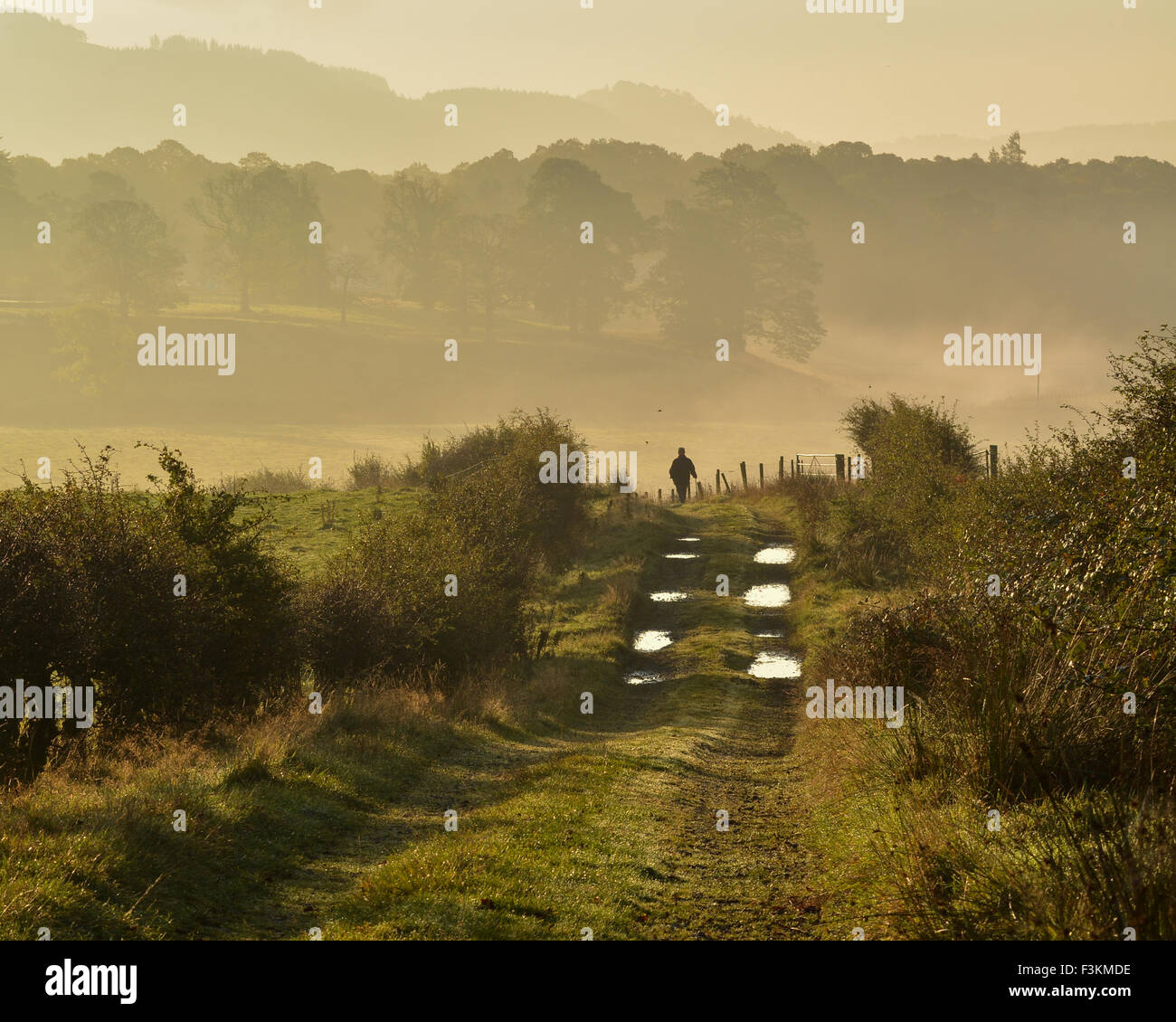 Piccolo irriconoscibile stagliano figura maschile con bastone facendo una passeggiata su un autunno mattina al sorgere del sole in Scozia, Regno Unito Foto Stock